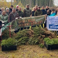 Республиканская добровольная акция «Дай лесу новае жыццё!»